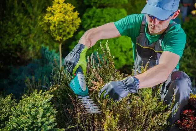 landscaping services Sugar Grove